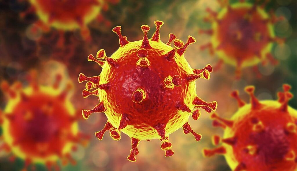 Rendering of coronavirus particles — red and yellow spheres covered in club-shaped spikes