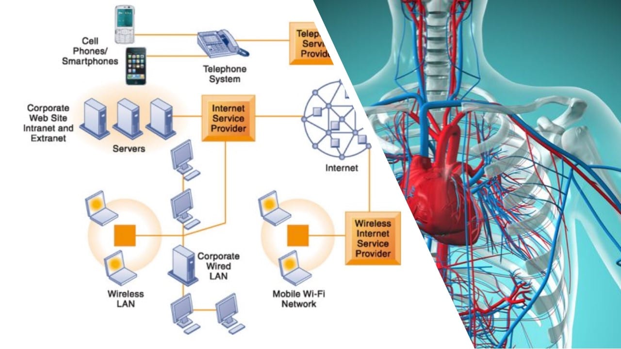 A split image: on the left a network diagram of phones, servers, wired and wireless LANs and internet service providers; on the right a medical illustration of the heart and circulatory system