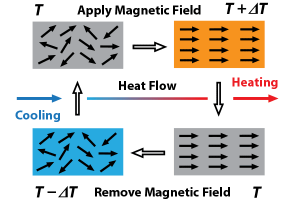 Diagram of the magnetocaloric cycle: applying a magnetic field aligns the material’s spins and raises its temperature, removing the field lowers it, with arrows showing heat flowing out on heating and in on cooling