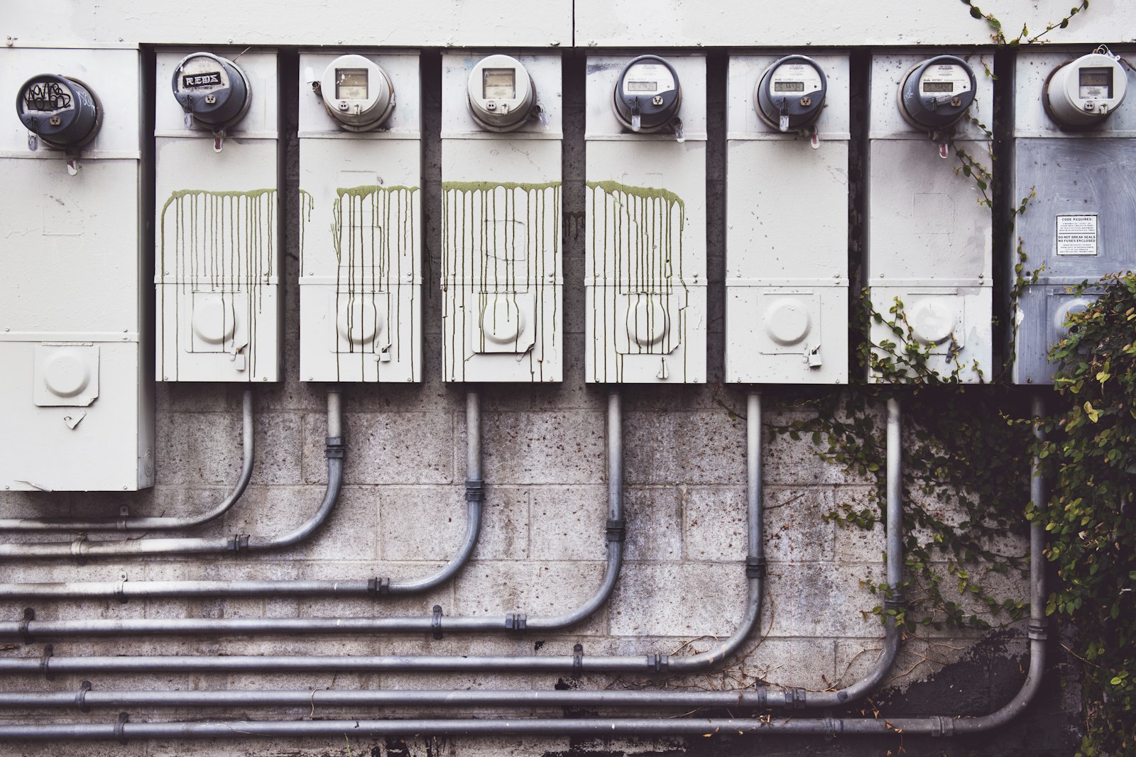 A row of eight electricity meters on an exterior wall, their enclosures streaked with dried paint and one tagged with graffiti, conduit sweeping away below them and ivy creeping across the right-hand end