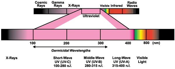 Diagram of the electromagnetic spectrum with the ultraviolet band expanded, marking germicidal wavelengths from 100 to 400 nanometres divided into short-wave UV-C, middle-wave UV-B and long-wave UV-A